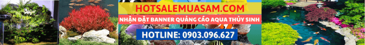 ca-canh-banner